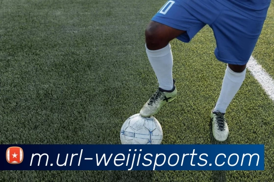 维基体育发展历程